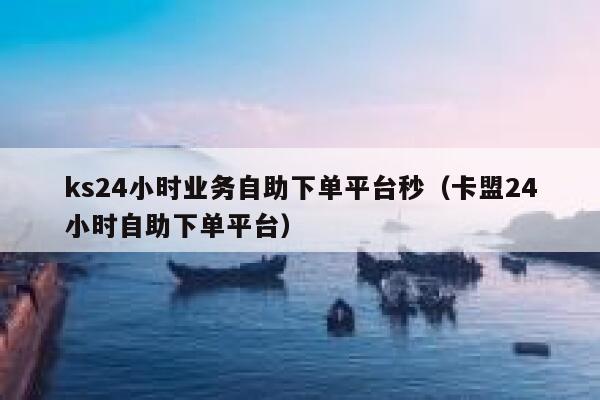 ks24小时业务自助下单平台秒（卡盟24小时自助下单平台） 第1张