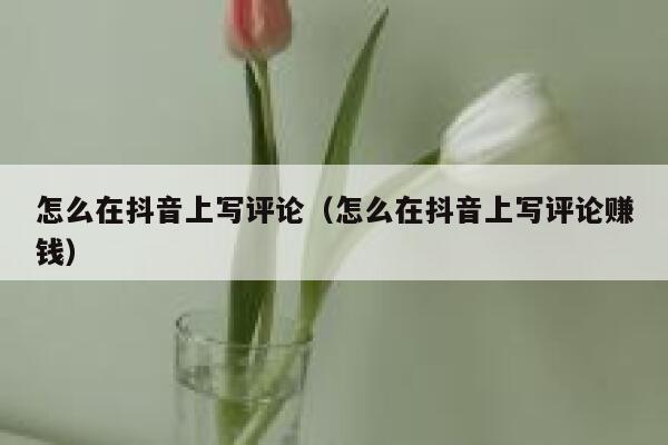怎么在抖音上写评论（怎么在抖音上写评论赚钱） 第1张