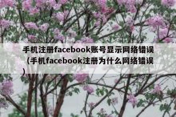 手机注册facebook账号显示网络错误（手机facebook注册为什么网络错误） 第1张