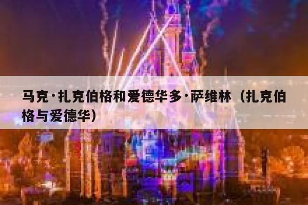 马克·扎克伯格和爱德华多·萨维林（扎克伯格与爱德华） 第1张