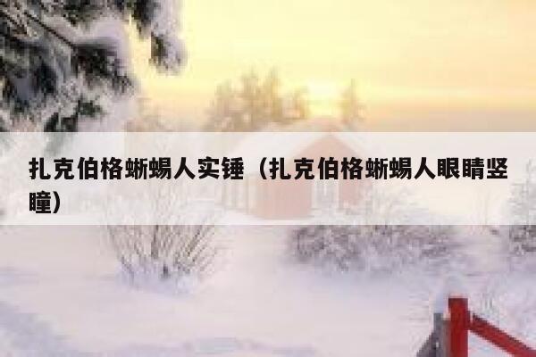 扎克伯格蜥蜴人实锤（扎克伯格蜥蜴人眼睛竖瞳） 第1张