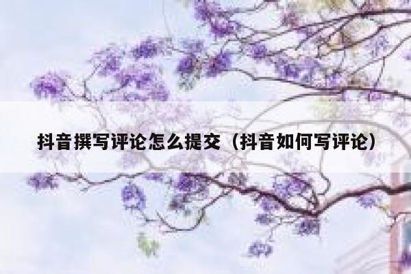 抖音撰写评论怎么提交（抖音如何写评论） 第1张