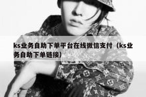 ks业务自助下单平台在线微信支付（ks业务自助下单链接） 第1张
