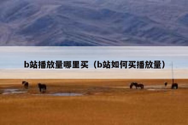 b站播放量哪里买（b站如何买播放量） 第1张