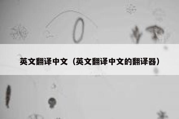 英文翻译中文（英文翻译中文的翻译器） 第1张