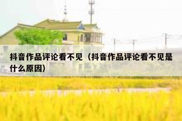 抖音作品评论看不见（抖音作品评论看不见是什么原因） 第1张