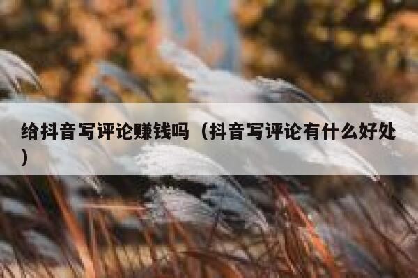 给抖音写评论赚钱吗（抖音写评论有什么好处） 第1张