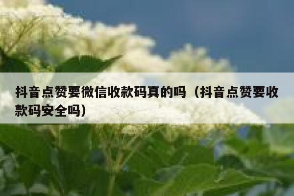 抖音点赞要微信收款码真的吗（抖音点赞要收款码安全吗） 第1张