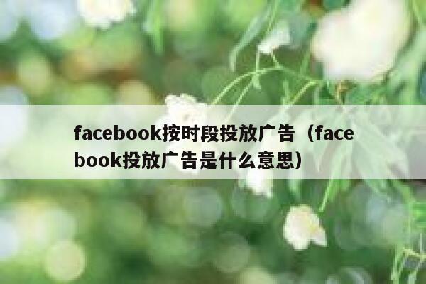 facebook按时段投放广告（facebook投放广告是什么意思） 第1张