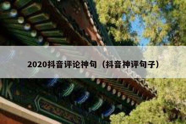 2020抖音评论神句（抖音神评句子） 第1张