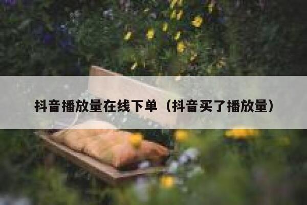 抖音播放量在线下单（抖音买了播放量） 第1张