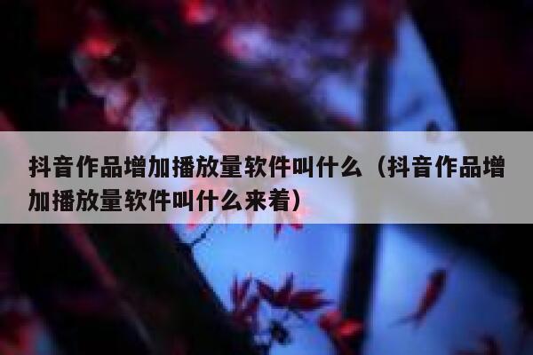 抖音作品增加播放量软件叫什么（抖音作品增加播放量软件叫什么来着） 第1张