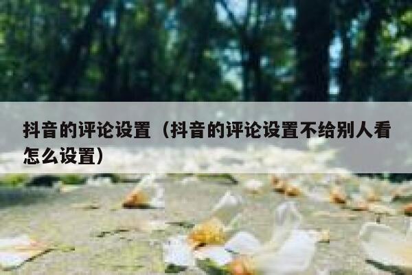 抖音的评论设置（抖音的评论设置不给别人看怎么设置） 第1张