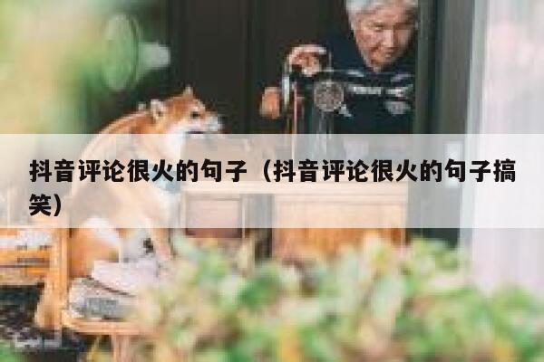 抖音评论很火的句子（抖音评论很火的句子搞笑） 第1张