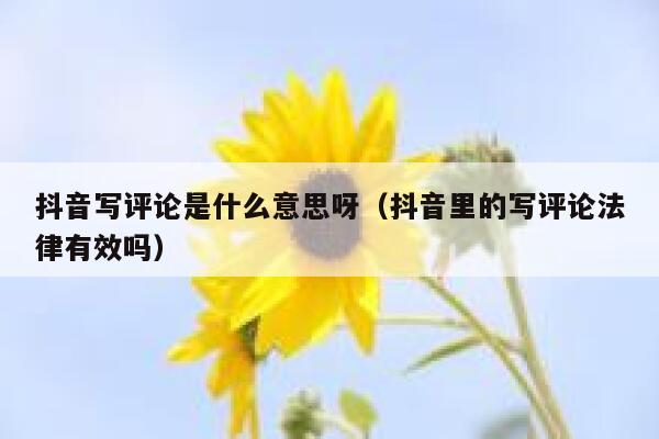 抖音写评论是什么意思呀（抖音里的写评论法律有效吗） 第1张