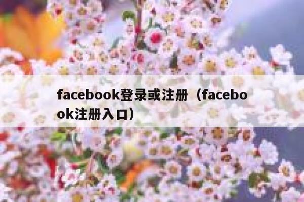 facebook登录或注册（facebook注册入口） 第1张