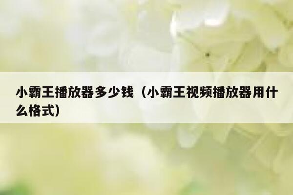 小霸王播放器多少钱（小霸王视频播放器用什么格式） 第1张