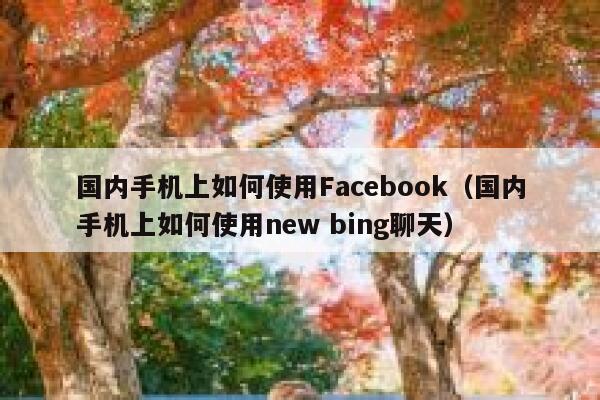国内手机上如何使用Facebook（国内手机上如何使用new bing聊天） 第1张