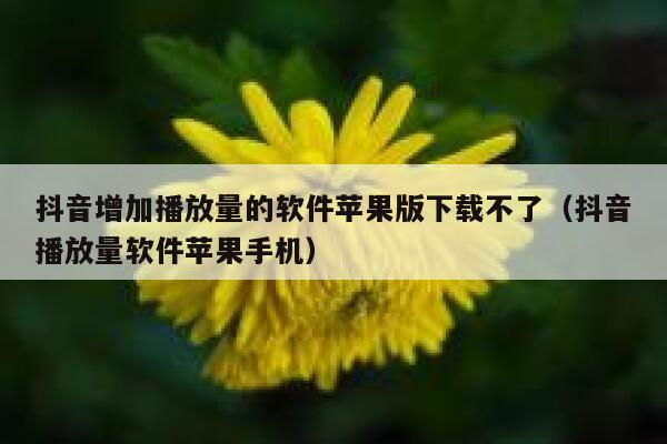 抖音增加播放量的软件苹果版下载不了（抖音播放量软件苹果手机） 第1张