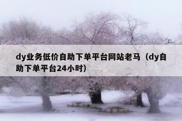 dy业务低价自助下单平台网站老马（dy自助下单平台24小时） 第1张