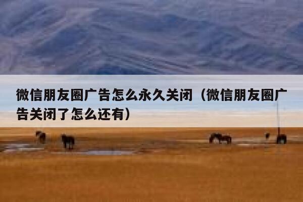 微信朋友圈广告怎么永久关闭（微信朋友圈广告关闭了怎么还有） 第1张