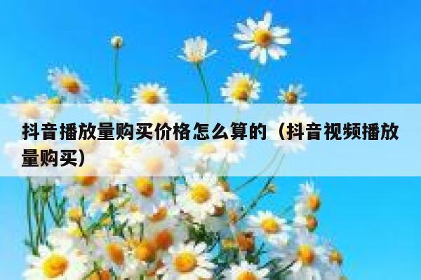 抖音播放量购买价格怎么算的（抖音视频播放量购买） 第1张