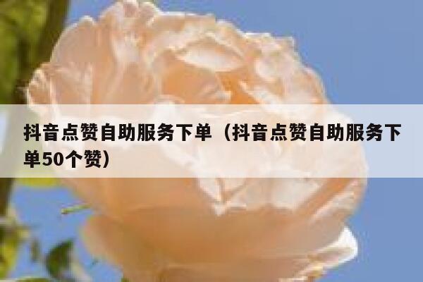 抖音点赞自助服务下单（抖音点赞自助服务下单50个赞） 第1张