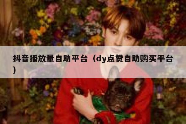 抖音播放量自助平台（dy点赞自助购买平台） 第1张