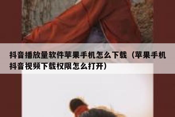 抖音播放量软件苹果手机怎么下载（苹果手机抖音视频下载权限怎么打开） 第1张