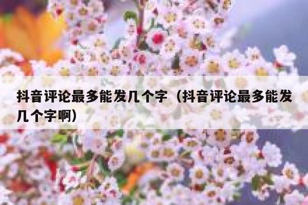 抖音评论最多能发几个字（抖音评论最多能发几个字啊） 第1张