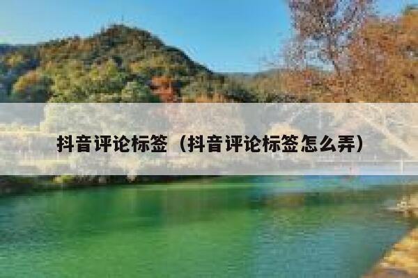 抖音评论标签（抖音评论标签怎么弄） 第1张