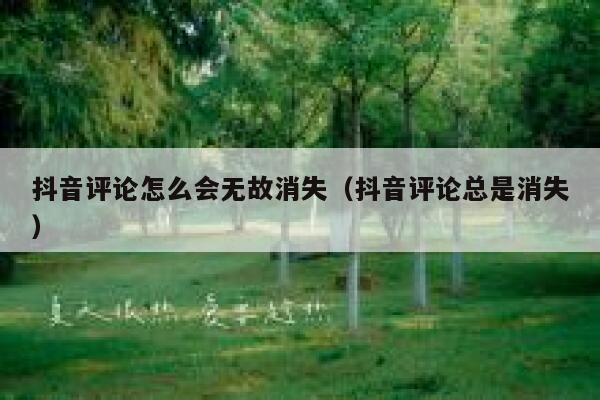 抖音评论怎么会无故消失（抖音评论总是消失） 第1张