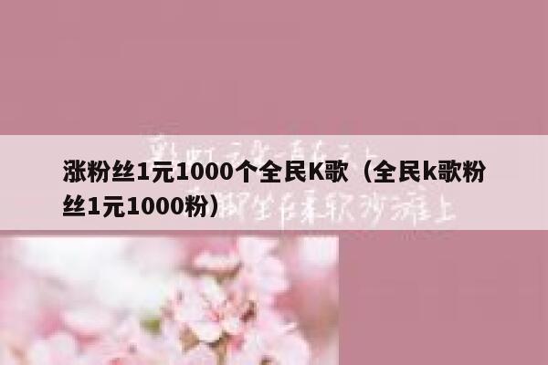 涨粉丝1元1000个全民K歌（全民k歌粉丝1元1000粉） 第1张