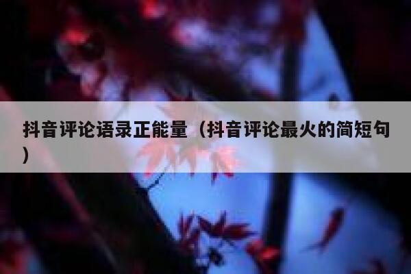 抖音评论语录正能量（抖音评论最火的简短句） 第1张