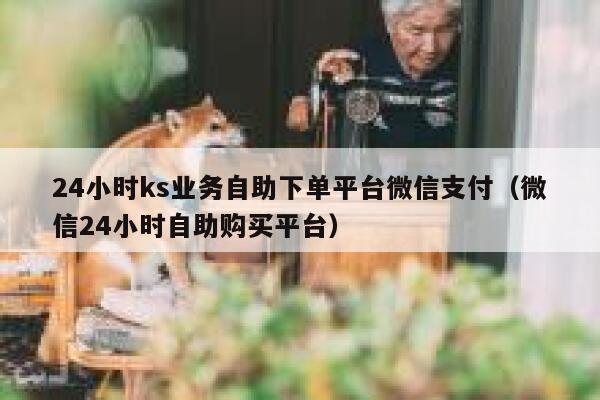 24小时ks业务自助下单平台微信支付（微信24小时自助购买平台） 第1张