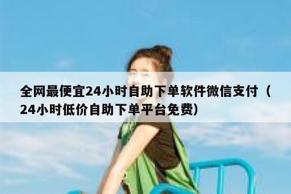 全网最便宜24小时自助下单软件微信支付（24小时低价自助下单平台免费） 第1张