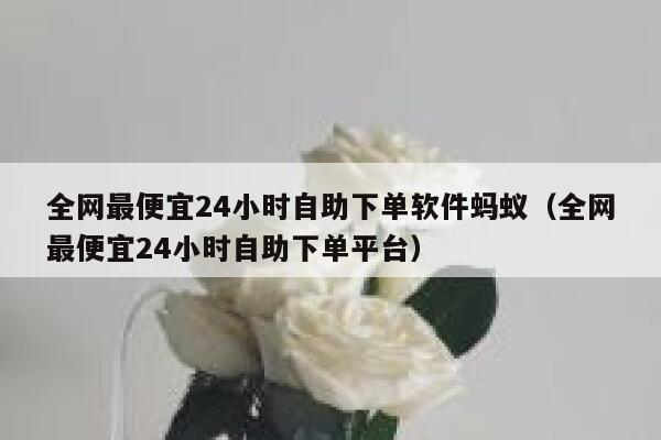 全网最便宜24小时自助下单软件蚂蚁（全网最便宜24小时自助下单平台） 第1张