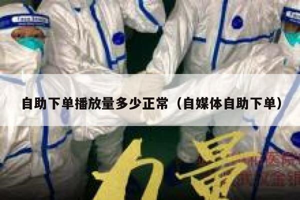 自助下单播放量多少正常（自媒体自助下单） 第1张