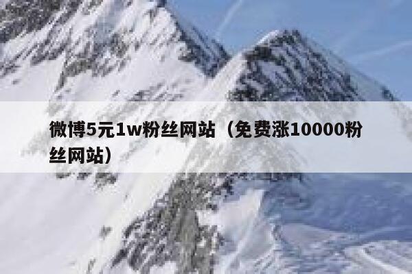 微博5元1w粉丝网站（免费涨10000粉丝网站） 第1张