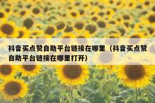 抖音买点赞自助平台链接在哪里（抖音买点赞自助平台链接在哪里打开） 第1张