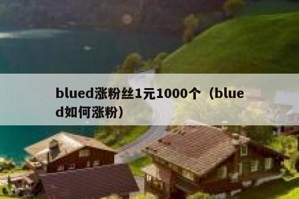blued涨粉丝1元1000个（blued如何涨粉） 第1张