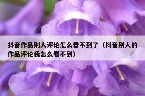 抖音作品别人评论怎么看不到了（抖音别人的作品评论我怎么看不到） 第1张