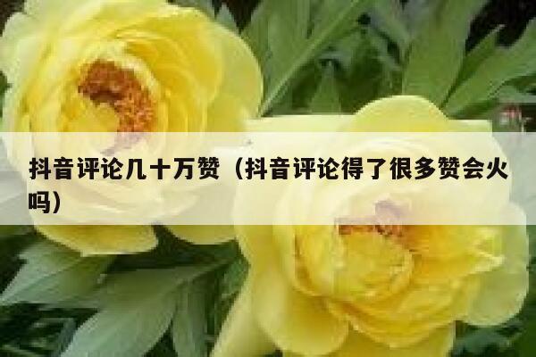 抖音评论几十万赞（抖音评论得了很多赞会火吗） 第1张