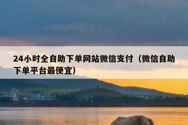 24小时全自助下单网站微信支付（微信自助下单平台最便宜） 第1张