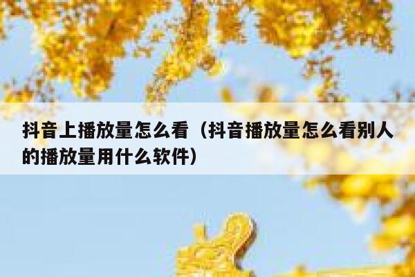 抖音上播放量怎么看（抖音播放量怎么看别人的播放量用什么软件） 第1张