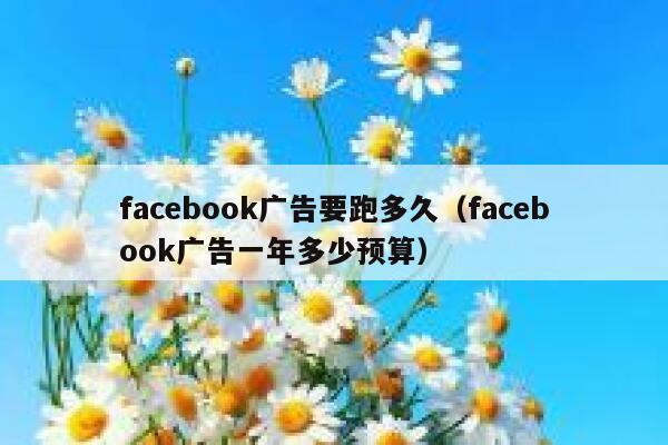 facebook广告要跑多久（facebook广告一年多少预算） 第1张