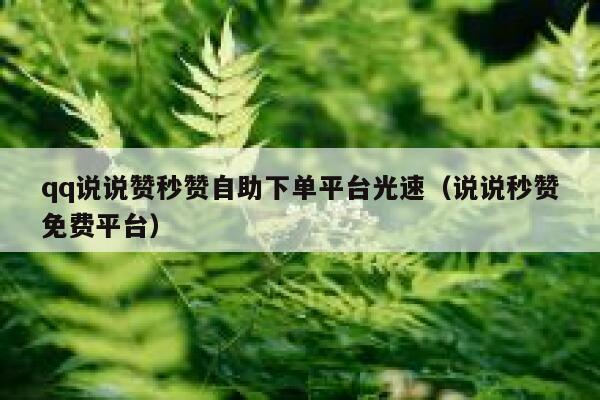 qq说说赞秒赞自助下单平台光速（说说秒赞免费平台） 第1张