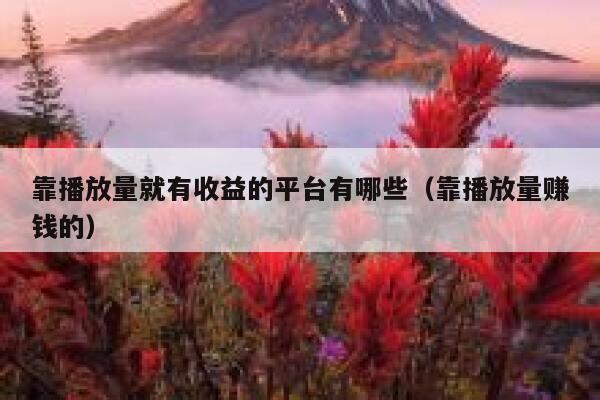 靠播放量就有收益的平台有哪些（靠播放量赚钱的） 第1张