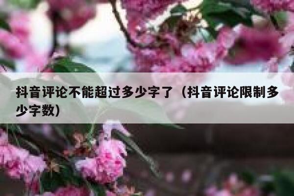 抖音评论不能超过多少字了（抖音评论限制多少字数） 第1张