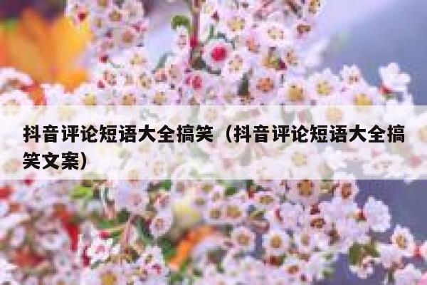 抖音评论短语大全搞笑（抖音评论短语大全搞笑文案） 第1张